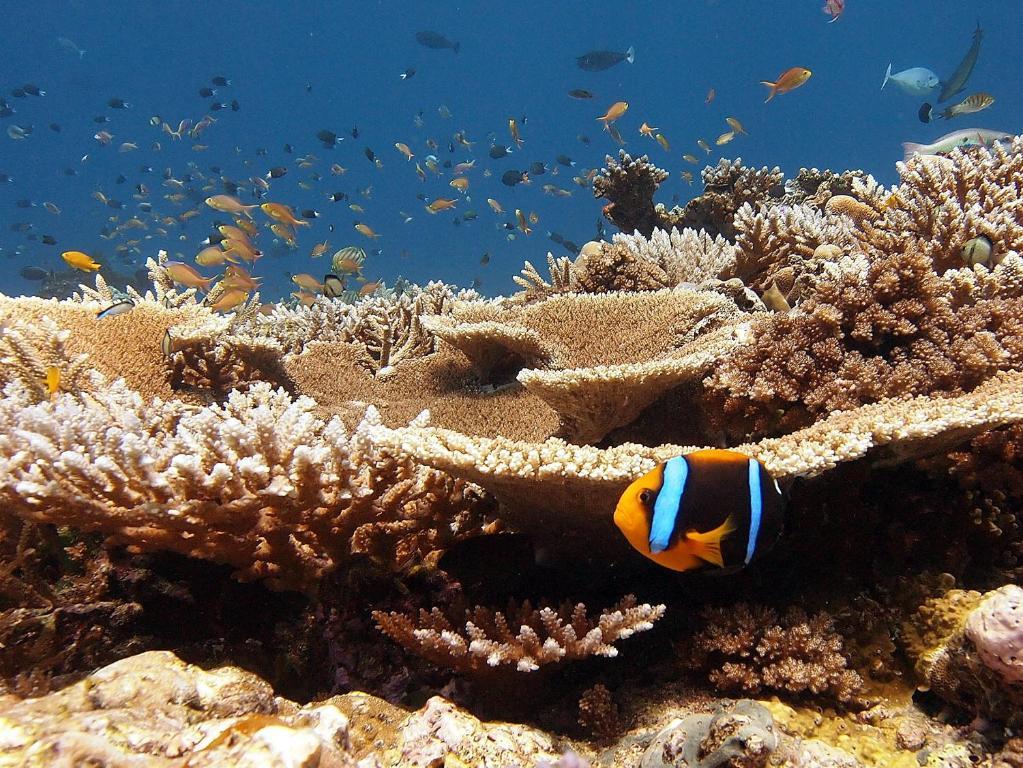 Tufi Resort المظهر الخارجي الصورة