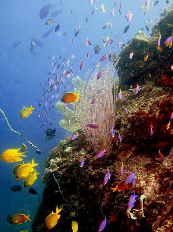 Tufi Resort المظهر الخارجي الصورة